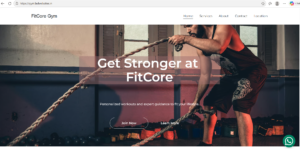 Business Websites